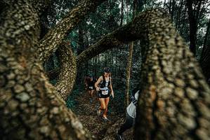 BIB: 
                            <button type="button" onclick="openModal(25674000)" class="btn btn-primary btn-sm float-right btn-popup" data-toggle="modal" data-target=".modal-high-quality">
                        <i class="fas fa-shopping-cart"></i> Add to Cart
                    </button>
                                            <button type="button" onclick="isThisMe(25674000, true)" class="btn btn-success btn-sm float-right btn-popup btn-isme hidden" data-toggle="tooltip" data-placement="bottom" title="นี่คือรูปของคุณใช่ไหม คลิกที่นี่เพื่อเอาเข้าอัลบั้ม">
                        <i class="fas fa-plus"></i> Add to album
                    </button>
                    <button type="button" onclick="isThisMe(25674000, false)" class="btn btn-warning btn-sm float-right btn-popup btn-isnotme hidden">
                        <i class="fas fa-ban"></i> Remove from album
                    </button>